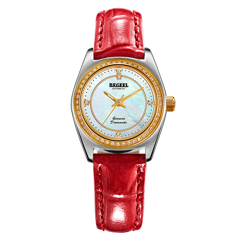 土耳其有什么品牌手表,ANVOGG是什么品牌手表？